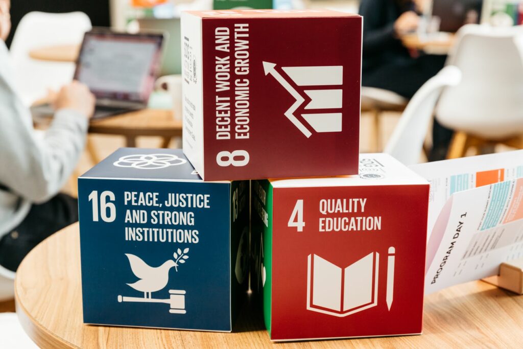 3D models of the sustainable development goals
