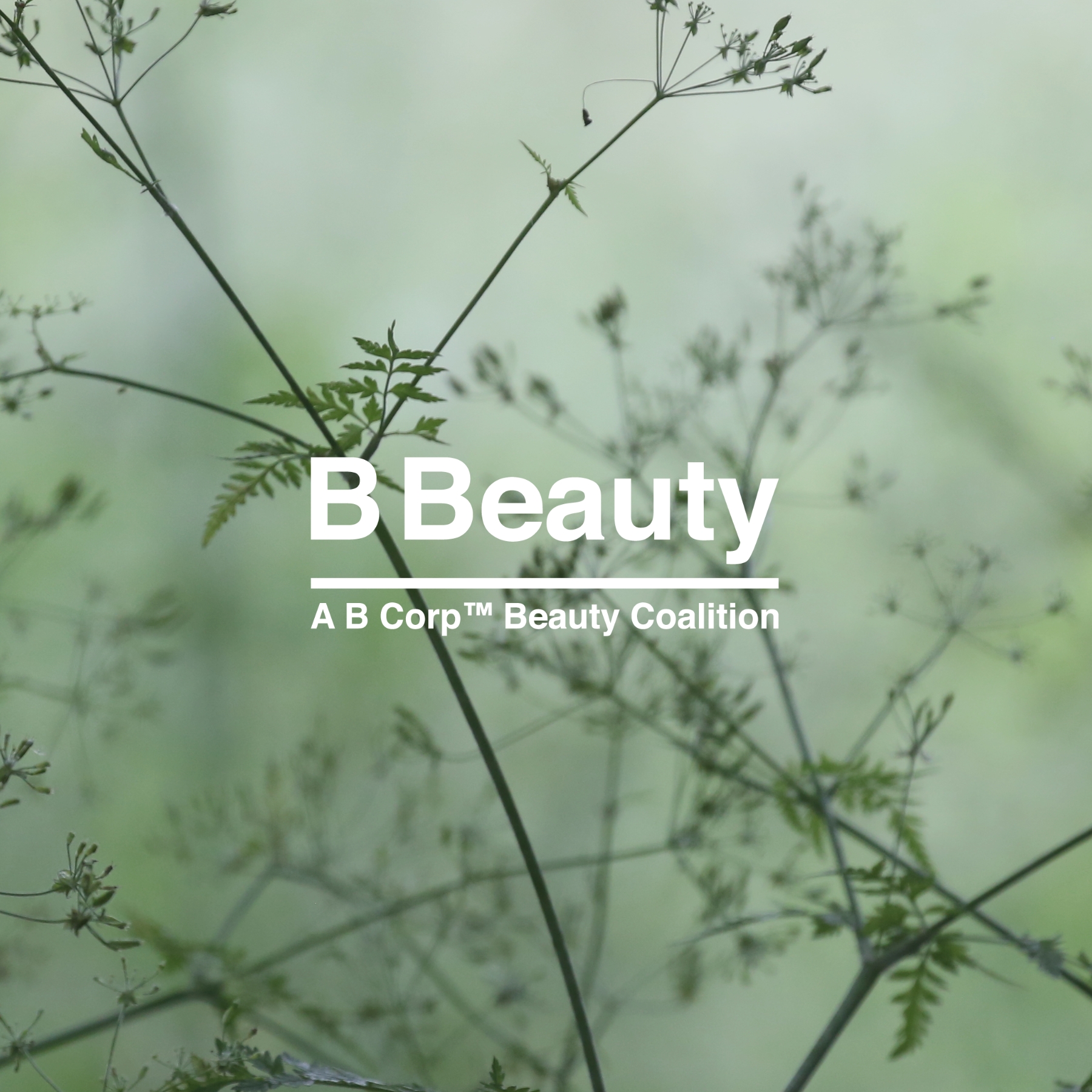 An Interview With Paolo Braguzzi On The B Corp Beauty Coalition - B Lab ...