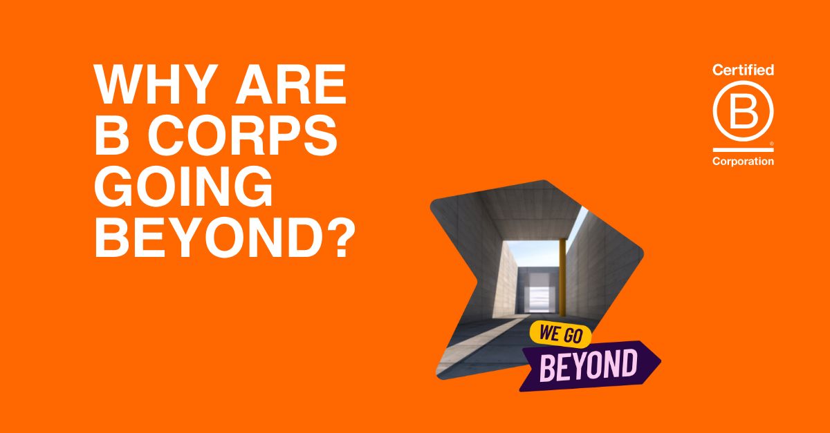 Why are B Corps going beyond